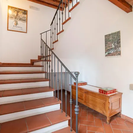 Beautiful In With Kitchen